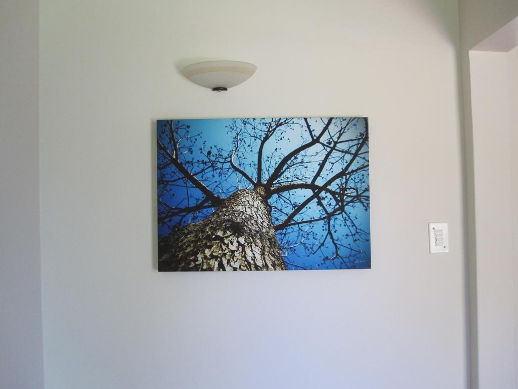 The Pecan Tree Guesthouse Sandton Dış mekan fotoğraf