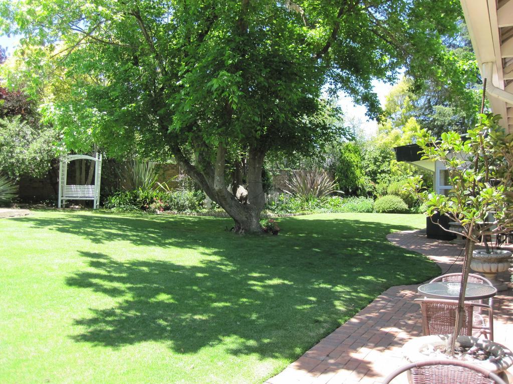 The Pecan Tree Guesthouse Sandton Oda fotoğraf